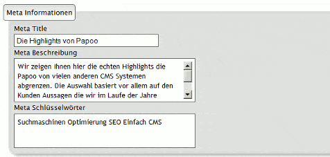 Metatags und Title Tag eingeben