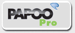 Logo Papoo Pro in Grau