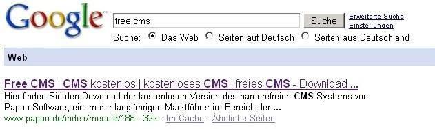 Screenshot Google SEO